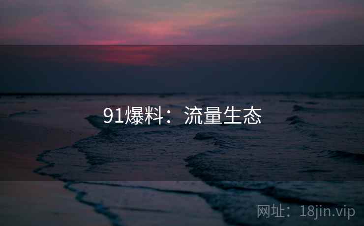 91爆料:流量生态