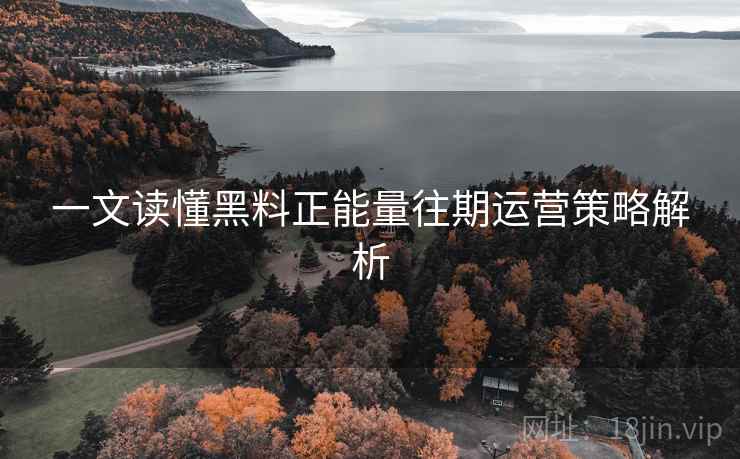 一文读懂黑料正能量往期运营策略解析