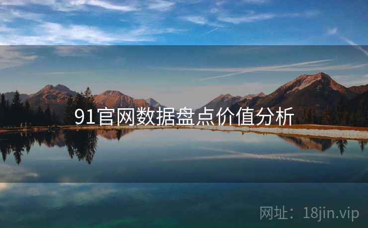 91官网数据盘点价值分析