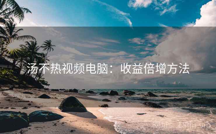 汤不热视频电脑:收益倍增方法