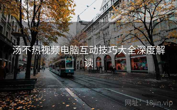 汤不热视频电脑互动技巧大全深度解读