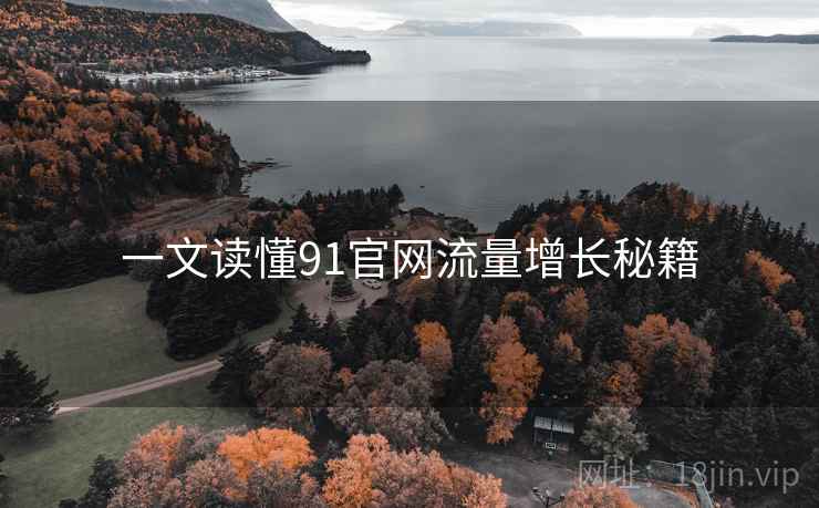 一文读懂91官网流量增长秘籍