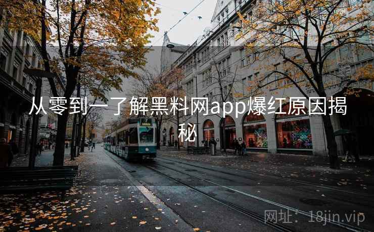 从零到一了解黑料网app爆红原因揭秘