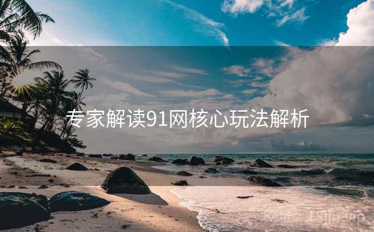 专家解读91网核心玩法解析