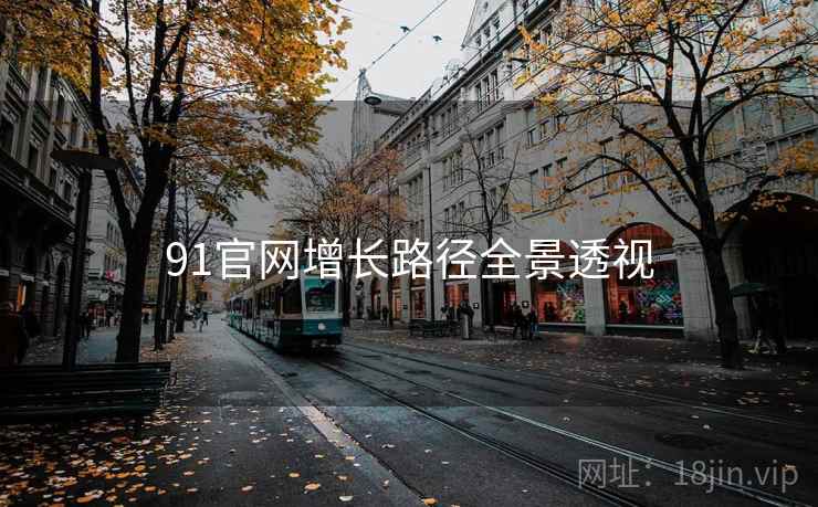91官网增长路径全景透视