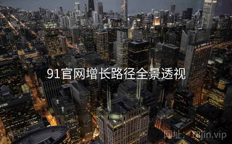 91官网增长路径全景透视