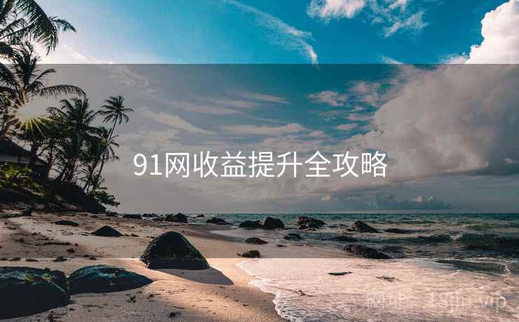 91网收益提升全攻略
