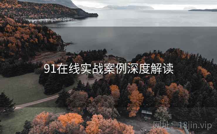 91在线实战案例深度解读