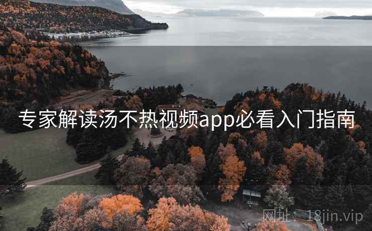 专家解读汤不热视频app必看入门指南